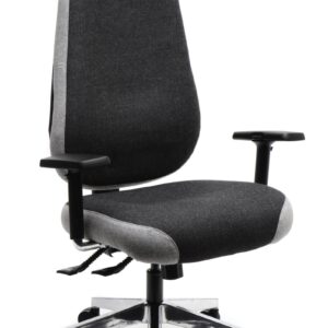 Ergopedic Controller (High Back, Large Seat)