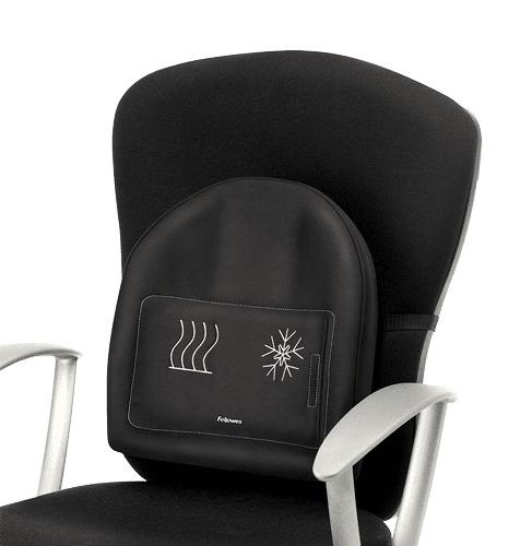 Fellowes Heat and Soothe Back Support