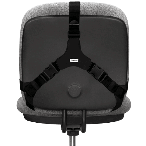 Fellowes Professional Series Back Support - Image 5
