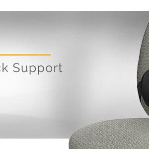 Fellowes Professional Series Back Support